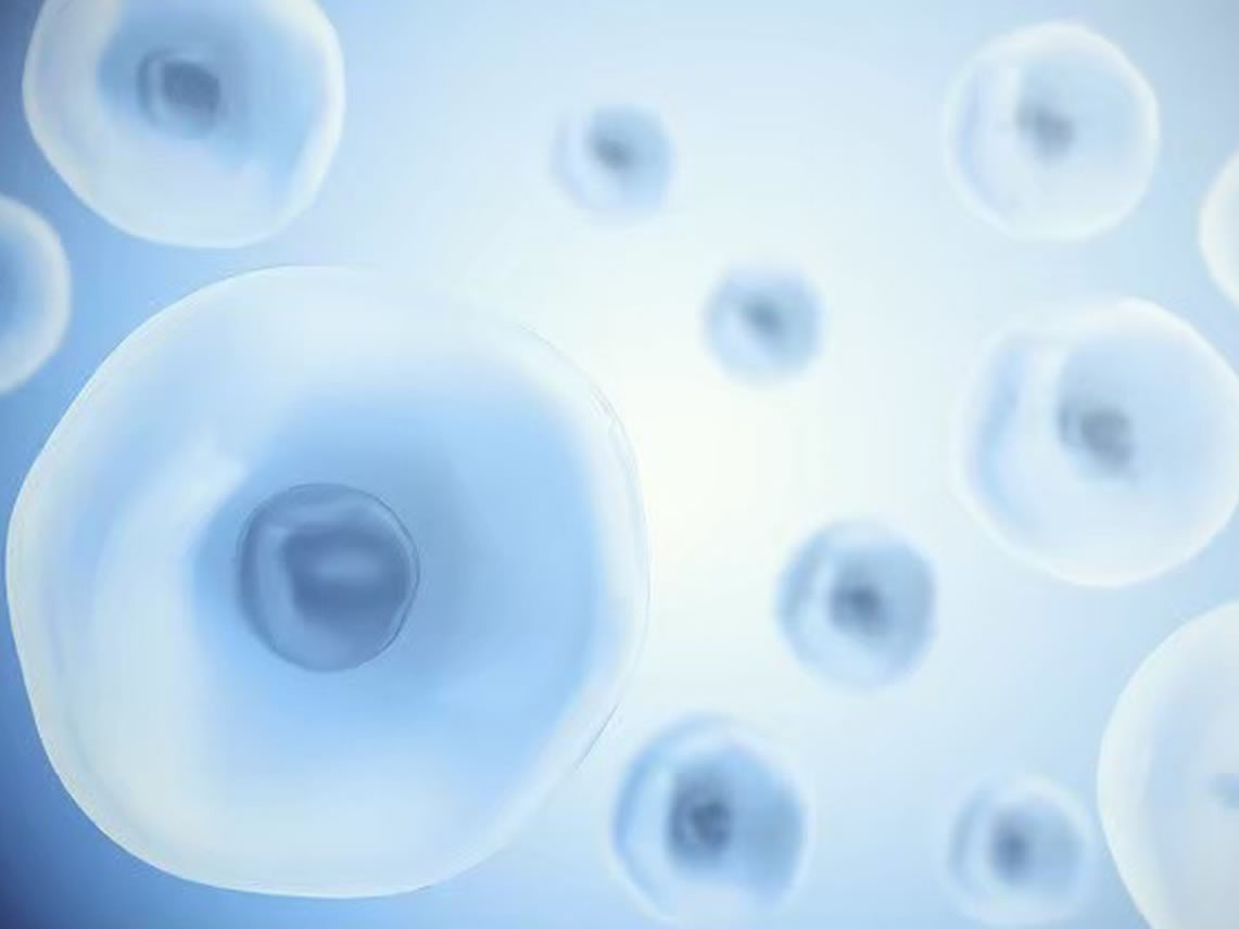 ヒト幹細胞培養液トリートメント